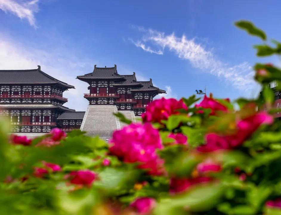 锐创电气欢迎您来牡丹花都赏花游玩！